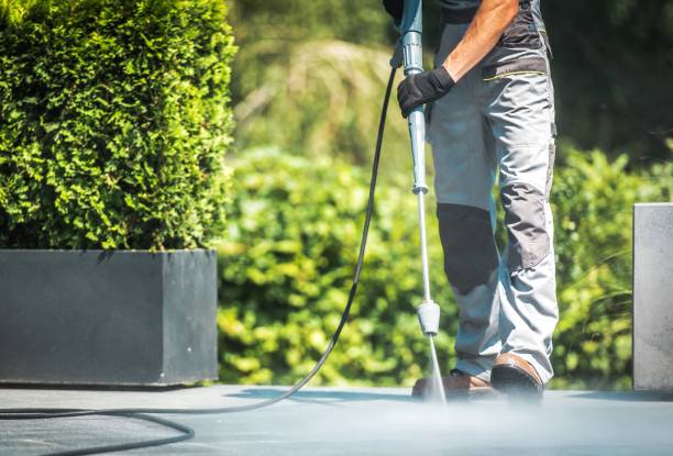 Best Pool Deck Cleaning  in Randolph, WI